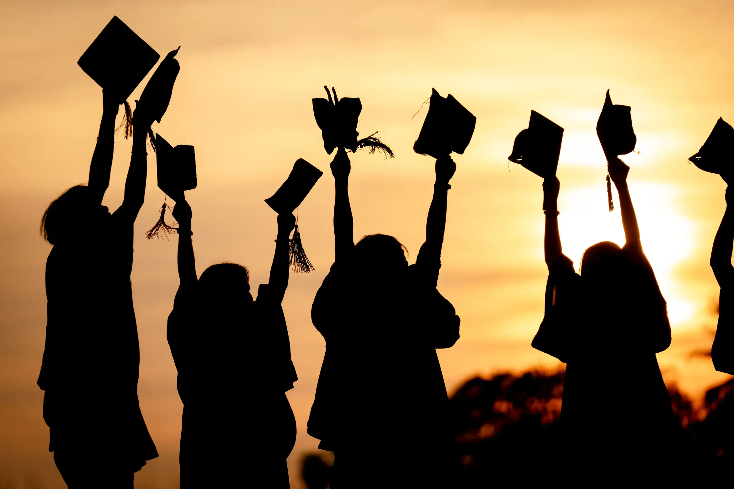 University Colleges