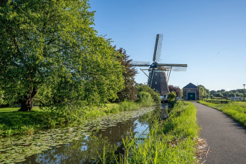 Post-study work opportunities in the Netherlands